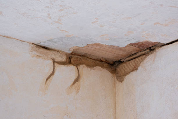 Best 24/7 water damage repair  in Osborne, KS