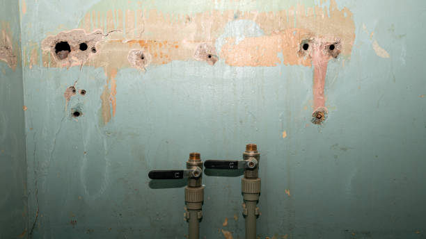 Water damage restoration mold remediation in Osborne, KS